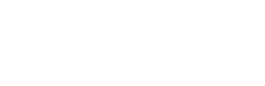 Websupport Logo